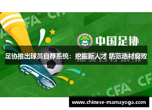 足协推出球员自荐系统：挖掘新人才 防范选材腐败